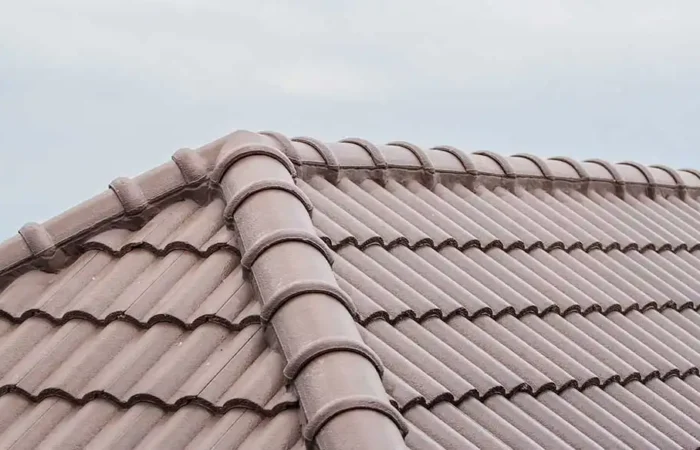 roof inspection services local contractors