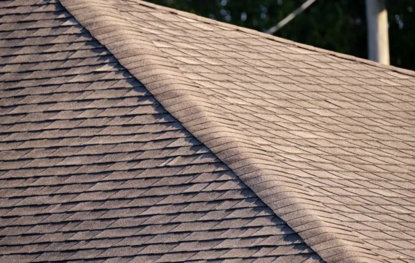 tab shingles closeup house roof top covered asphalt