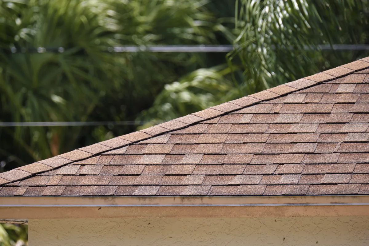 tab shingles closeup of house roof top covered with asphalt or