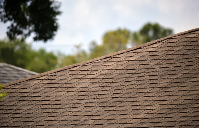 tab shingles closeup of house roof top covered with asphalt or