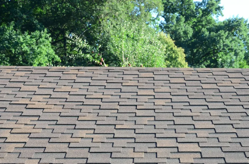 Roofing vs DIY in Alameda: A Practical Homeowner Guide