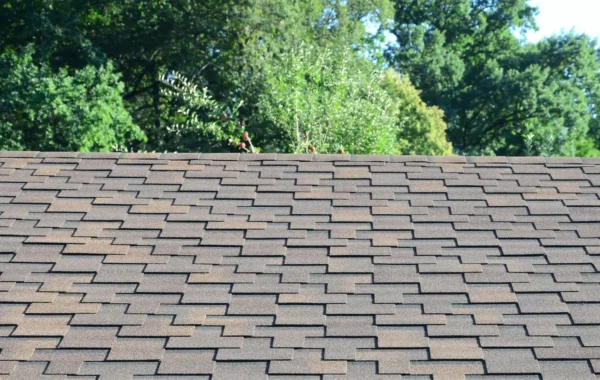 tab shingles modern roofing and decoration of chimneys