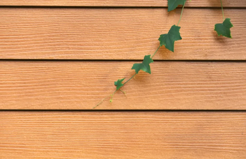 Siding Contractors: Checklist for California Homeowners