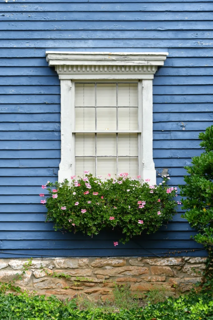 single hung window bright blue wall with a white window accented by