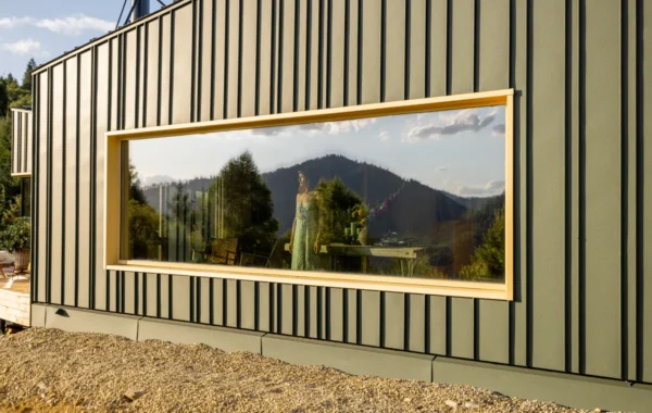 vertical siding modern house with scenic reflection