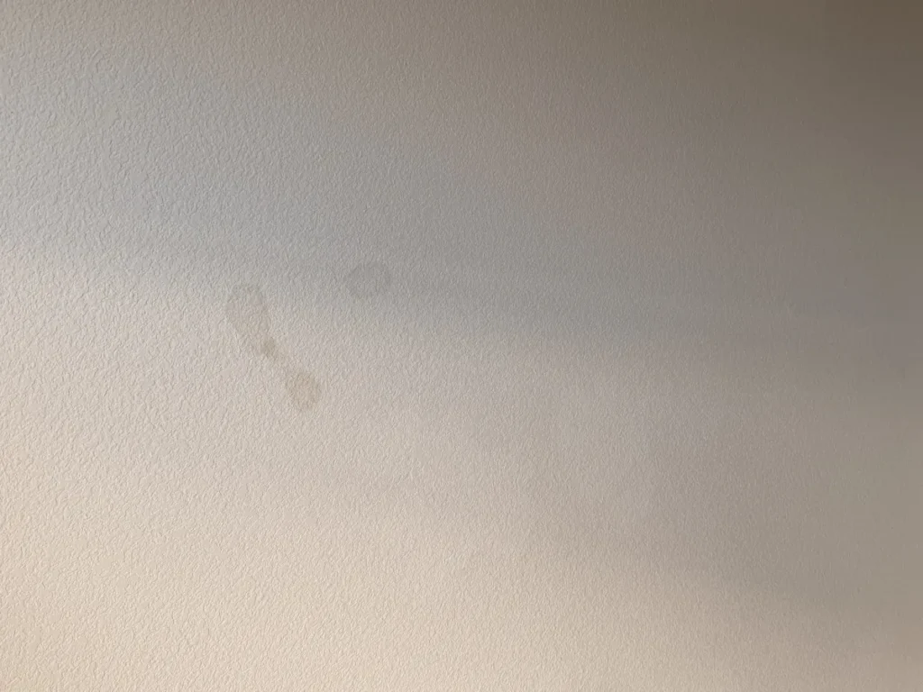 Ceiling water stain in Folsom CA home before leak investigation