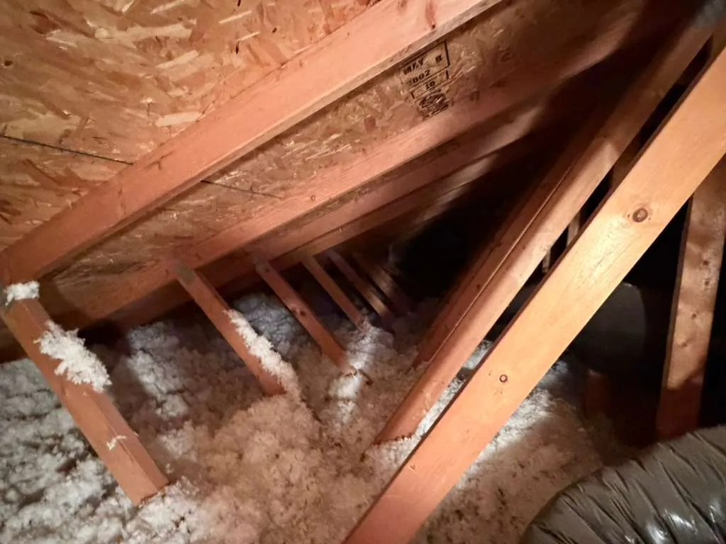 Attic inspection to trace ceiling leak path in CA