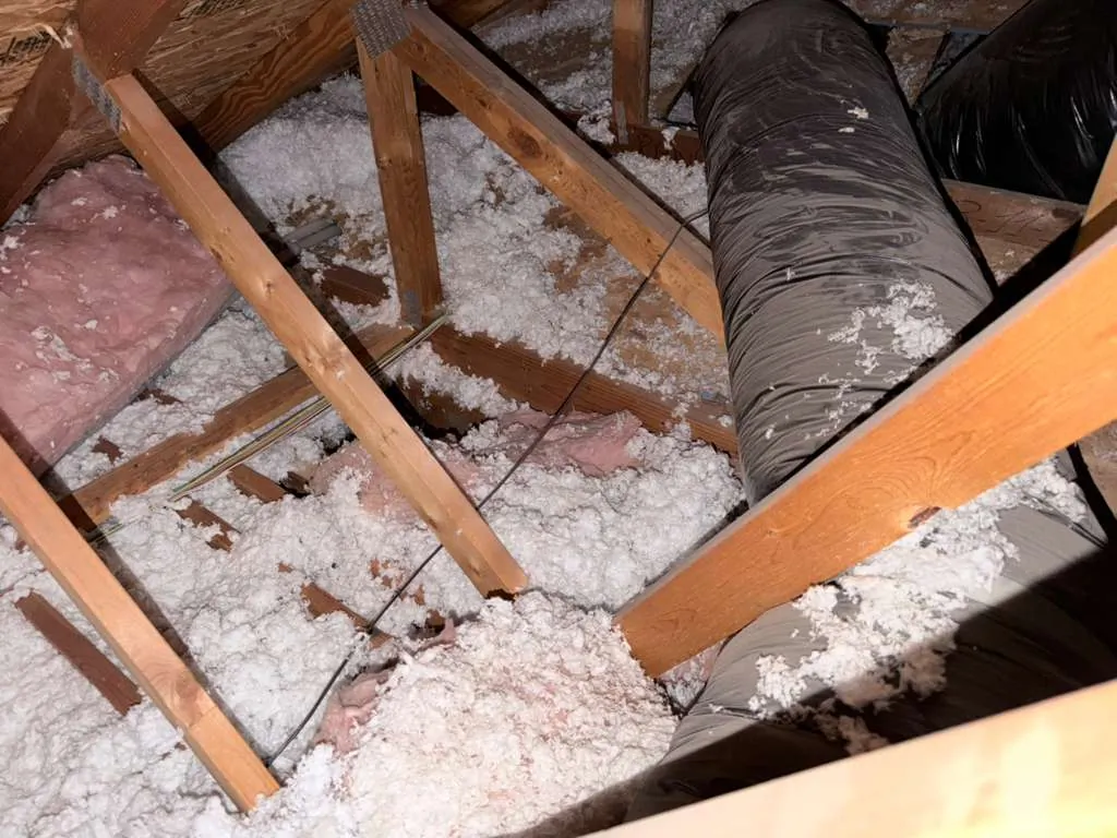 Attic inspection showing blown-in insulation and ductwork during a ceiling leak investigation in Folsom, CA.