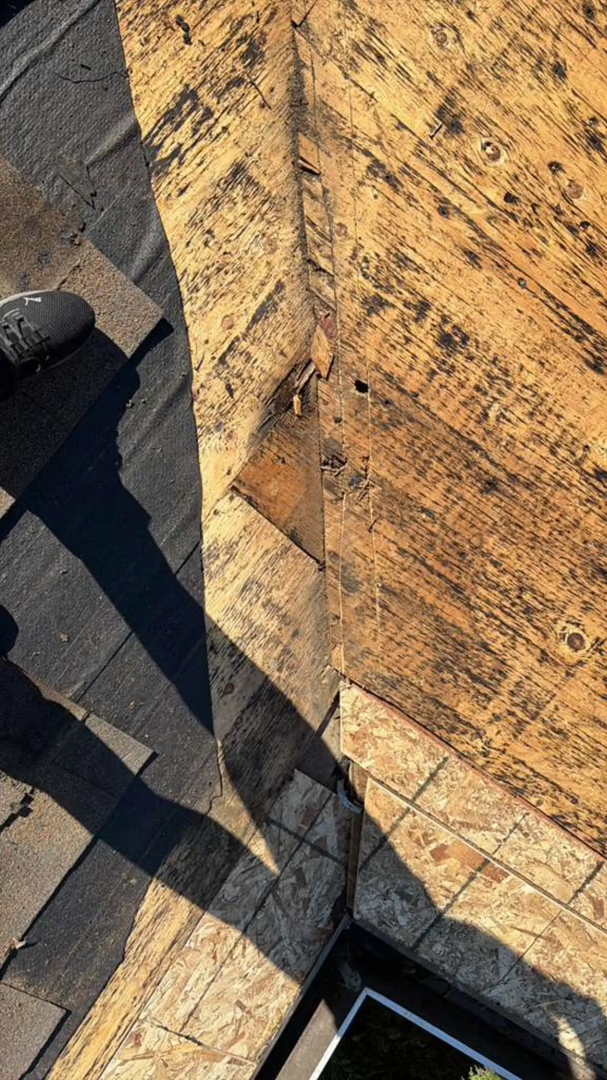 garage roof replacement in ca leak repair rotten wood replacement