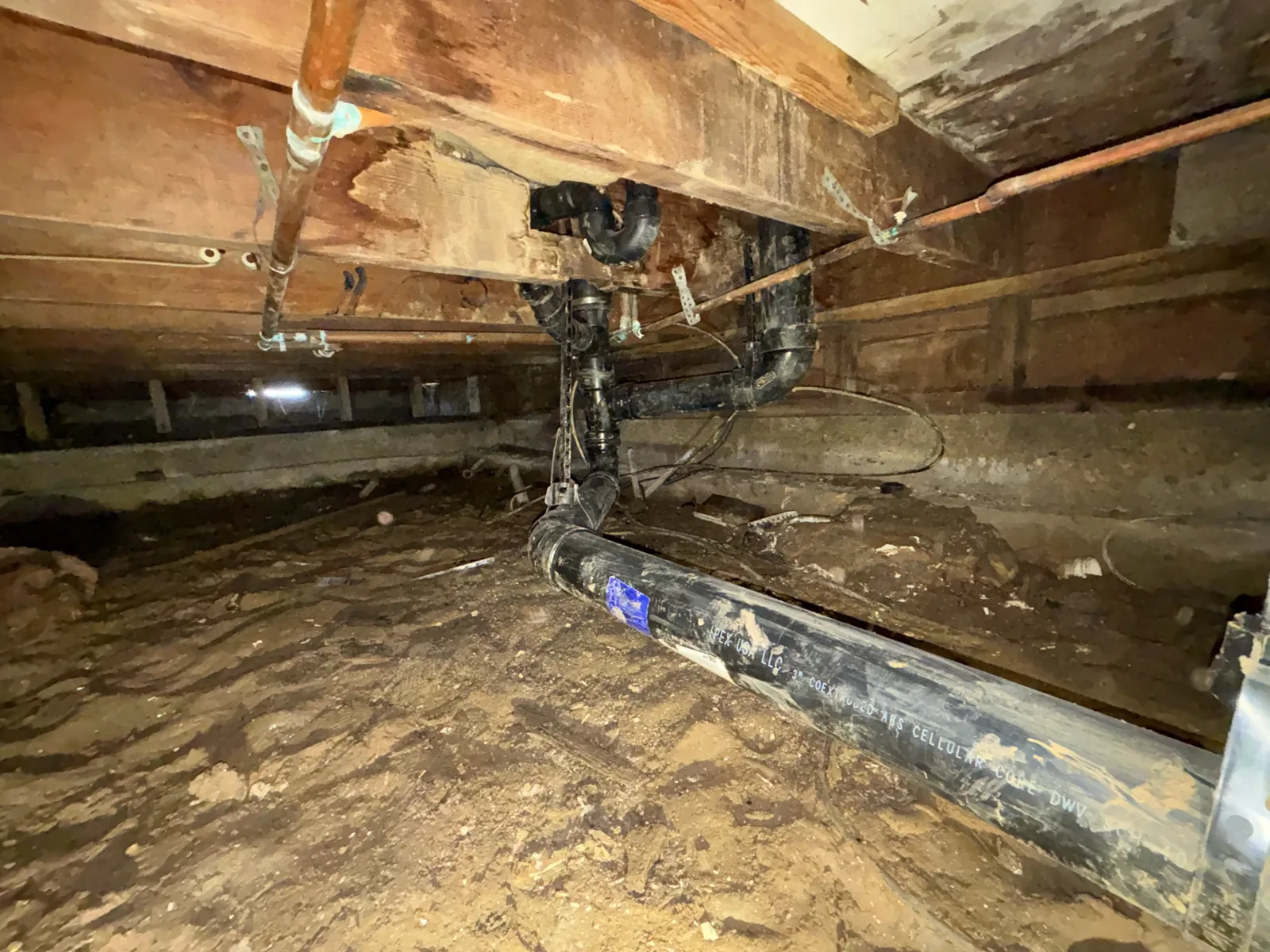 Connected black drain branches beneath floor framing during a crawlspace repipe.