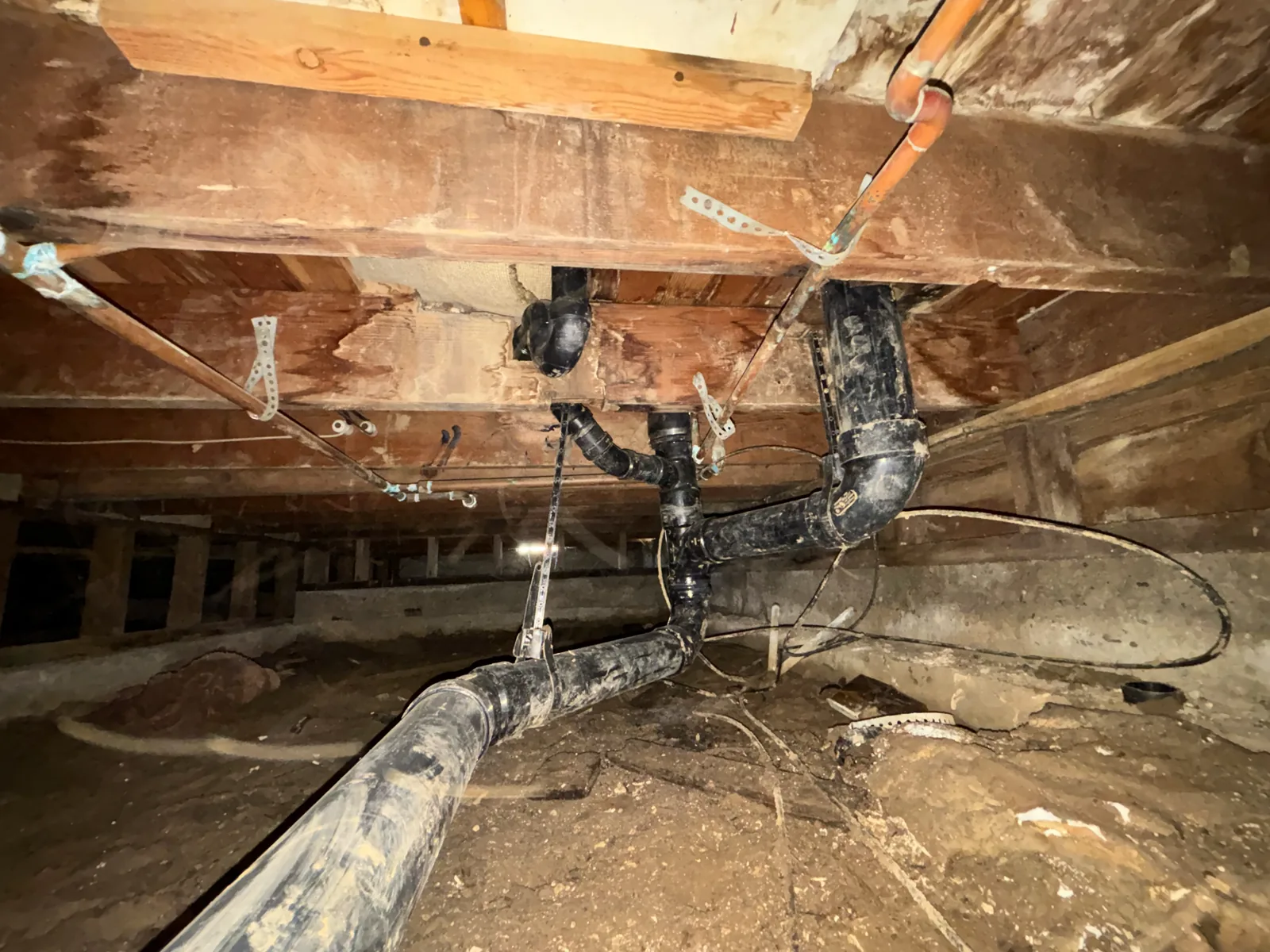 Multiple drain branch connections joined to replacement piping in a crawlspace.