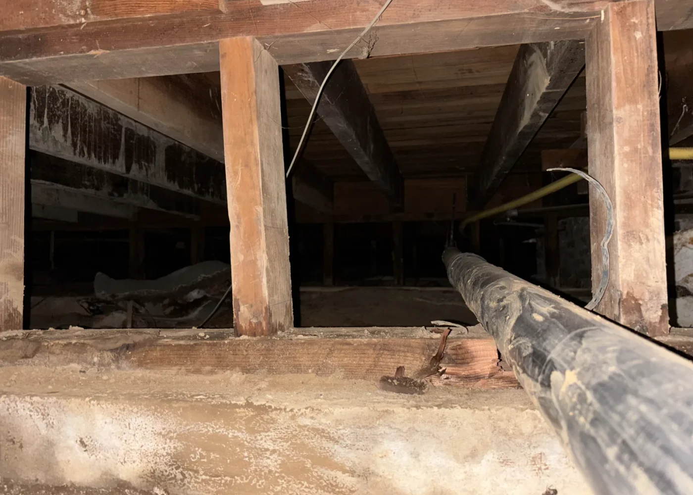 Long replacement drain-pipe route supported beneath floor framing in a crawlspace.