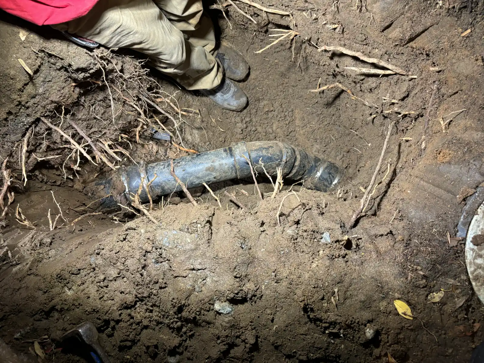 Exposed sewer pipe and surrounding tree roots in a localized Sacramento excavation.