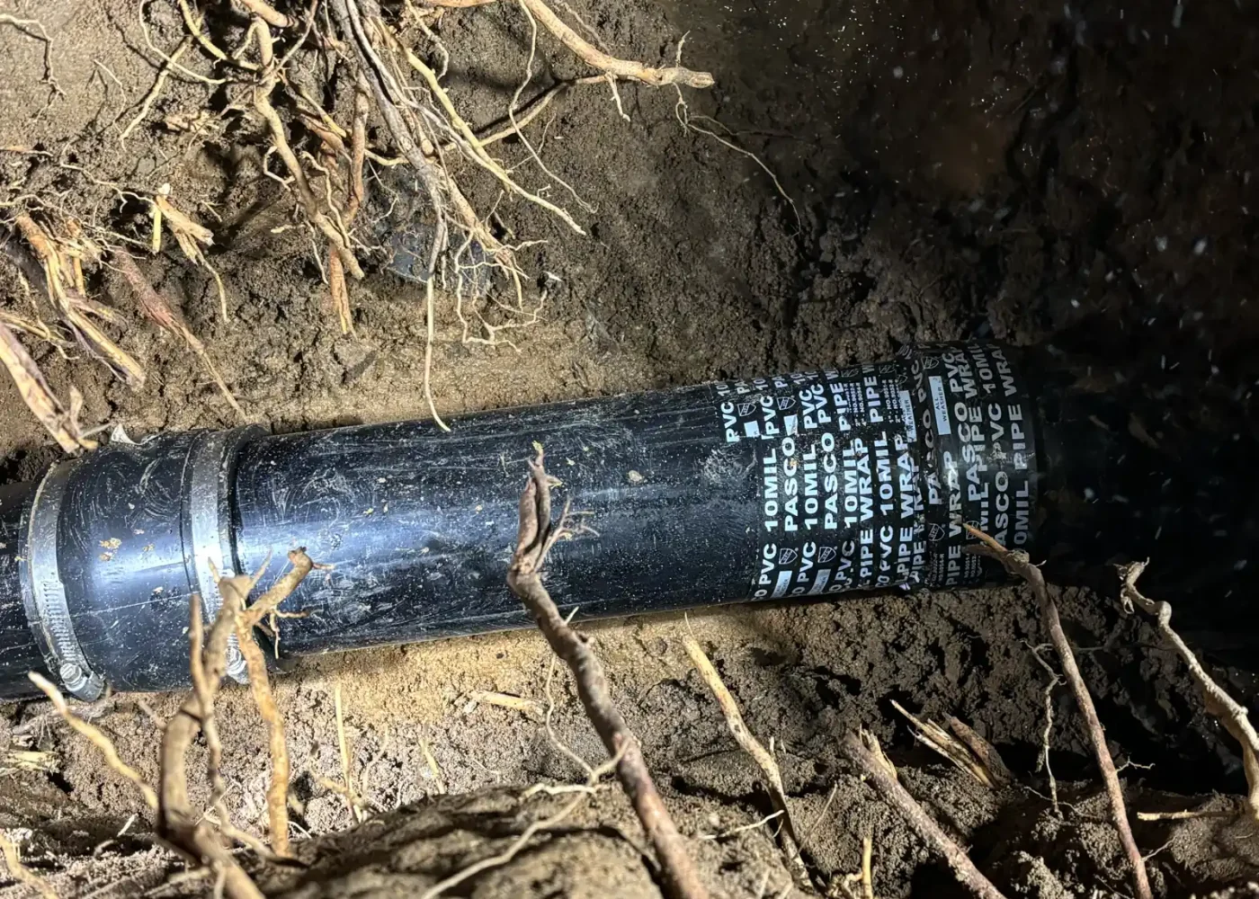 Replacement sewer pipe section and couplings installed beside exposed tree roots during a Sacramento project.